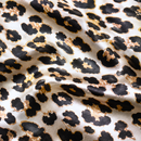 Leopardo