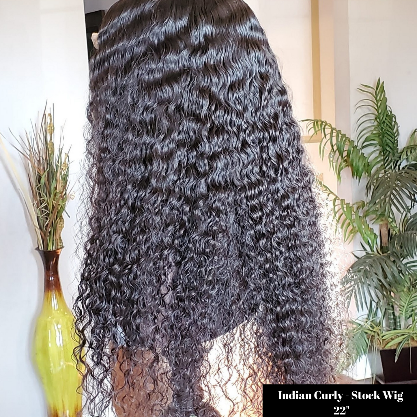 Indian Curly 13x6 Frontal Wig