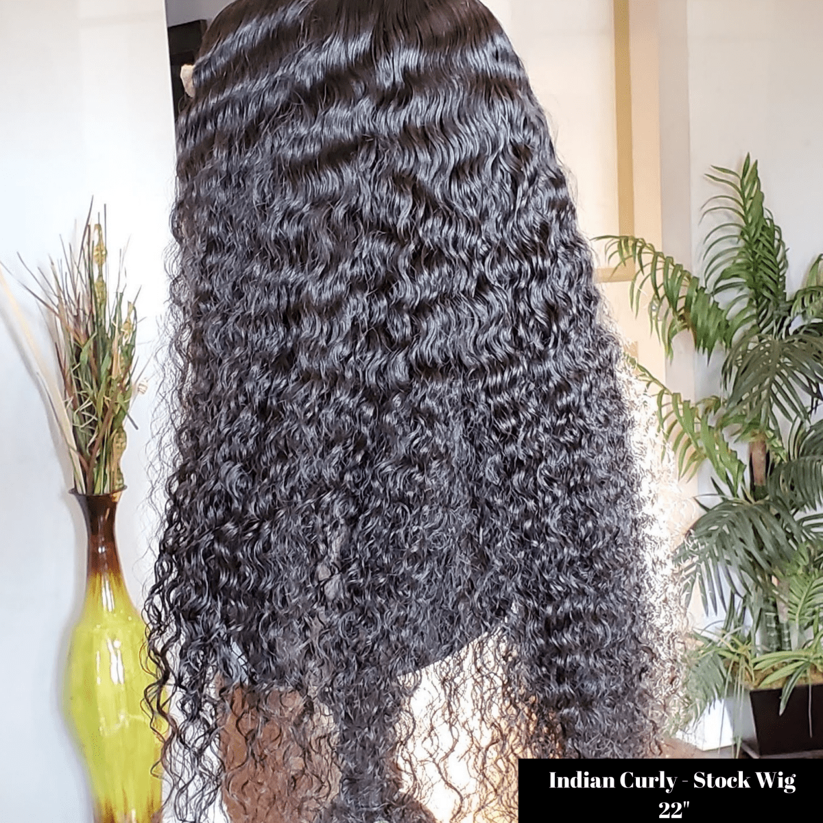 Indian Curly 13x6 Frontal Wig - PHC